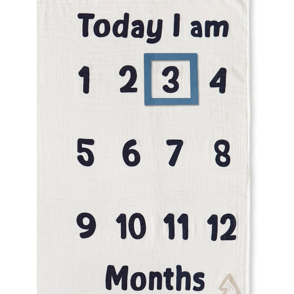 Gerber Baby Boy 2 Piece Monthly Milestone Blanket And Frame Set Blue Dogs NEW - Picture 10 of 10